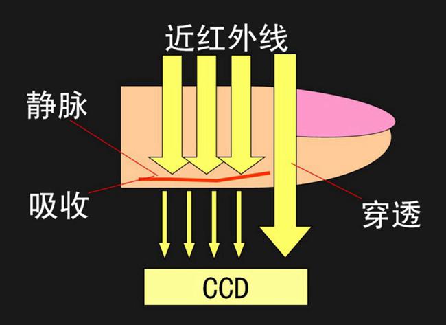 靜脈識別中濾光片的工作方式 靜脈識別中濾光片的工作方式